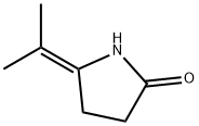 2-Pyrrolidinone,5-(1-methylethylidene)-(9CI) Structure