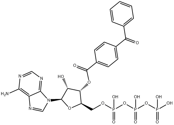 3'-O-(4-ベンゾイルベンゾイル)アデノシン5'-三りん酸 化学構造式