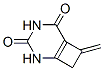 2,4-Diazabicyclo[4.2.0]oct-1(6)-ene-3,5-dione, 7-methylene- (9CI) 结构式