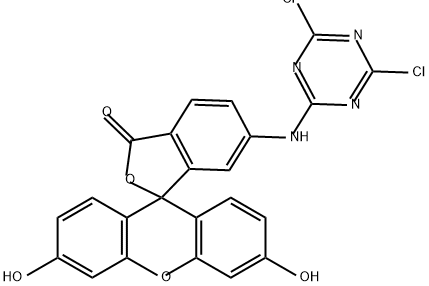 6-(4,6-dichlorotriazinyl)aminofluorescein Structure