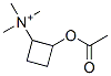 2-acetoxycyclobutyltrimethylammonium Struktur