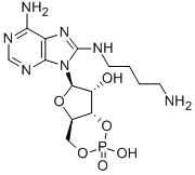 8-(4-アミノブチルアミノ)アデノシン3′,5′-りん酸 化学構造式