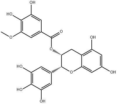 (-)-エピガロカテキン 3-(3”-O-メチル)ガレート 化学構造式