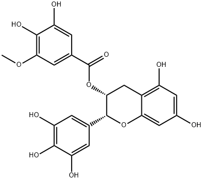 (-)-EGCG-3''-O-ME Struktur