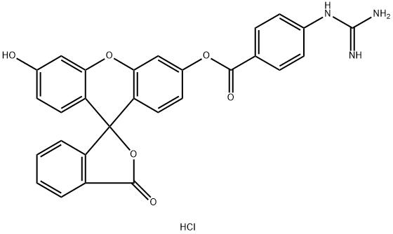 FLUORESCEIN MONO-P-GUANIDINOBENZOATE*HYD ROCHLORIDE 化学構造式