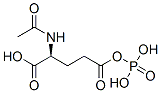 (2S)-2-acetamido-5-oxo-5-phosphonooxy-pentanoic acid Struktur