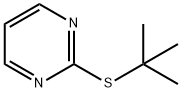 2-tert-butylthiopyrimidine Structure