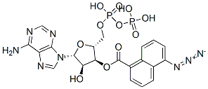 3'-O-(5-azidonaphthoyl)adenosine diphosphate|
