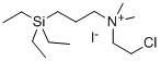 (2-Chloroethyl)dimethyl(3-(triethylsilyl)propyl)ammonium iodide Struktur