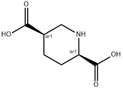 2,5-piperidinedicarboxylic acid 结构式