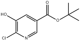 6-氯-5-羟基烟酸叔丁酯, 847943-54-8, 结构式