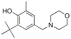 6-tert-butyl-4-(morpholinomethyl)-o-cresol 结构式