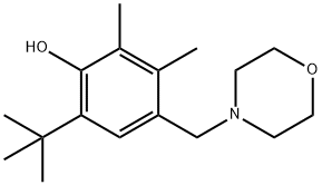 6-(1,1-ジメチルエチル)-2,3-ジメチル-4-(4-モルホリニルメチル)フェノール 化学構造式