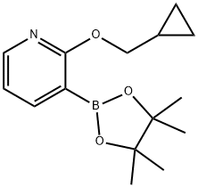 2-(シクロプロピルメトキシ)-3-(4,4,5,5-テトラメチル-1,3,2-ジオキサボロラン-2-イル)ピリジン 化学構造式