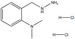 2-DIMETHYLAMINOBENZYLHYDRAZINEDIHYDROCHLORIDE
 化学構造式