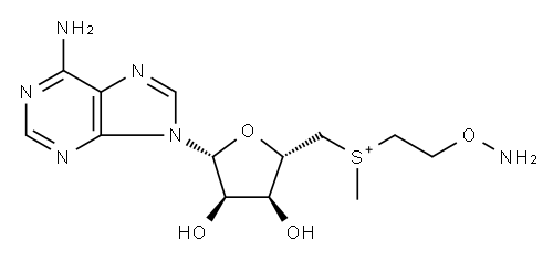 S-(5'-deoxyadenosyl-5')-S-methylthioethylhydroxylamine Struktur