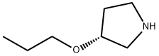 (R)-3-丙氧基吡咯烷, 849924-75-0, 结构式
