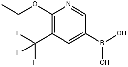 6-ethoxy-5-(trifluoroMethyl)pyridin-3-ylboronic acid Struktur