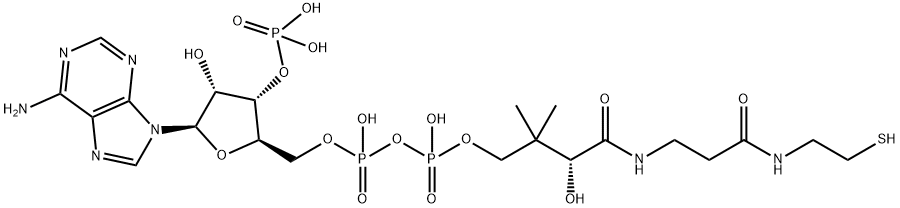 Coenzyme A|辅酶 A