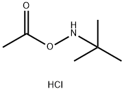 O-アセチル-N-tert-ブチルヒドロキシルアミン塩酸塩 化学構造式