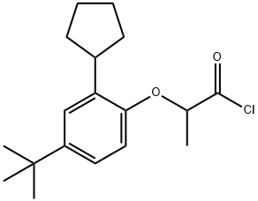 2-[2-cyclopentyl-4-(1,1-dimethylethyl)phenoxy]propionyl chloride Structure