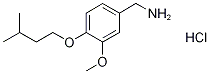 [3-Methoxy-4-(3-methylbutoxy)benzyl]aminehydrochloride Structure