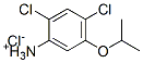 2,4-dichloro-5-isopropoxyanilinium chloride Struktur