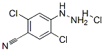 4-Cyano-2,5-dichlorophenylhydrazine hydrochloride 结构式