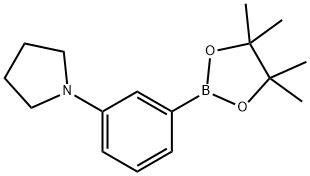 1-[3-(4,4,5,5-TETRAMETHYL-1,3,2-DIOXABOROLAN-2-YL)PHENYL]PYRROLIDINE Struktur