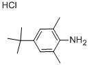 4-TERT-BUTYL-2,6-DIMETHYLANILINE HCL Structure