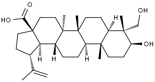 3β,23-ジヒドロキシルパ-20(29)-エン-28-酸 化学構造式