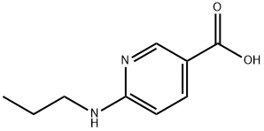 6-n-propylamino-3-pyridine carboxylic acid Struktur