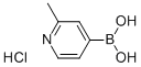 2-甲基-4-吡啶硼酸盐酸盐, 861905-97-7, 结构式