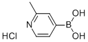 2-METHYL-4-PYRIDINEBORIC ACID HCL Structure