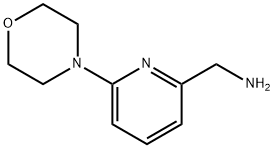 (6-MORPHOLINOPYRID-2-YL)METHYLAMINE 化学構造式