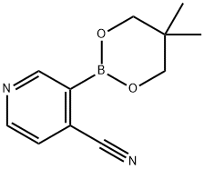 2-(4-シアノピリジン-3-イル)-5,5-ジメチル-1,3,2-ジオキサボリナン 化学構造式