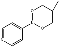 4-(5,5-ジメチル-1,3,2-ジオキサボリンアン-2-イル)ピリジン 化学構造式