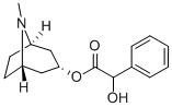 rac-(R*)-α-ヒドロキシベンゼン酢酸(1R,5S)-トロパン-3α-イル 化学構造式