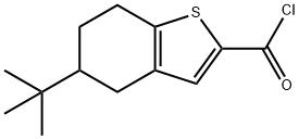 5-tert-butyl-4,5,6,7-tetrahydro-1-benzothiophene-2-carbonyl chloride Struktur