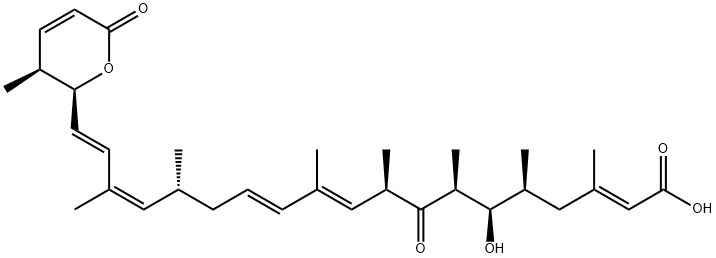 LEPTOMYCIN A