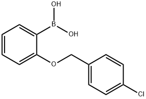 2-(4-クロロフェニルメトキシ)フェニルボロン酸 化学構造式