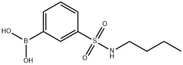 N-丁基-3-硼苯磺酰胺 结构式
