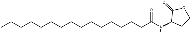 N-ヘキサデカノイルホモセリンラクトン 化学構造式