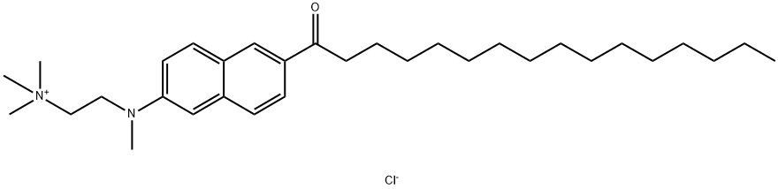 PATMAN Structure