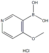 4-Methoxypyridine-3-boronic acid, HCl Struktur