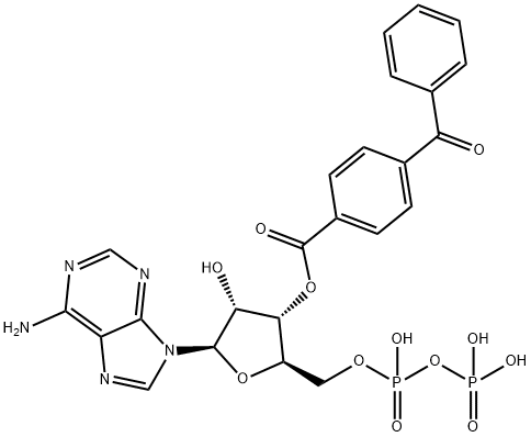 3'-O-(4-benzoyl)benzoyladenosine diphosphate Structure