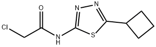 2-クロロ-N-(5-シクロブチル-1,3,4-チアジアゾール-2-イル)アセトアミド 化学構造式