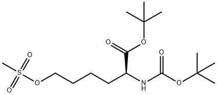 TERT-BUTYL 2-(TERT-BUTOXYCARBONYLAMINO)-6-(METHYLSULFONYLOXY)HEXANOATE|2-(叔丁氧羰基氨基)-6-(甲基磺酰氧基)己酸叔丁酯