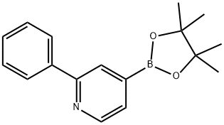2-PHENYLPYRIDINE-4-BORONIC ACID PINACOL ESTER Structure