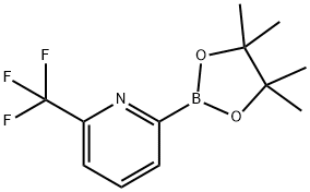 6-(TRIFLUOROMETHYL)PYRIDINE-2-BORONIC ACID PINACOL ESTER price.